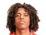 https://img.bdidcs.com/img/football/player/135ad8787fd13961a93e165e79e736ff.png